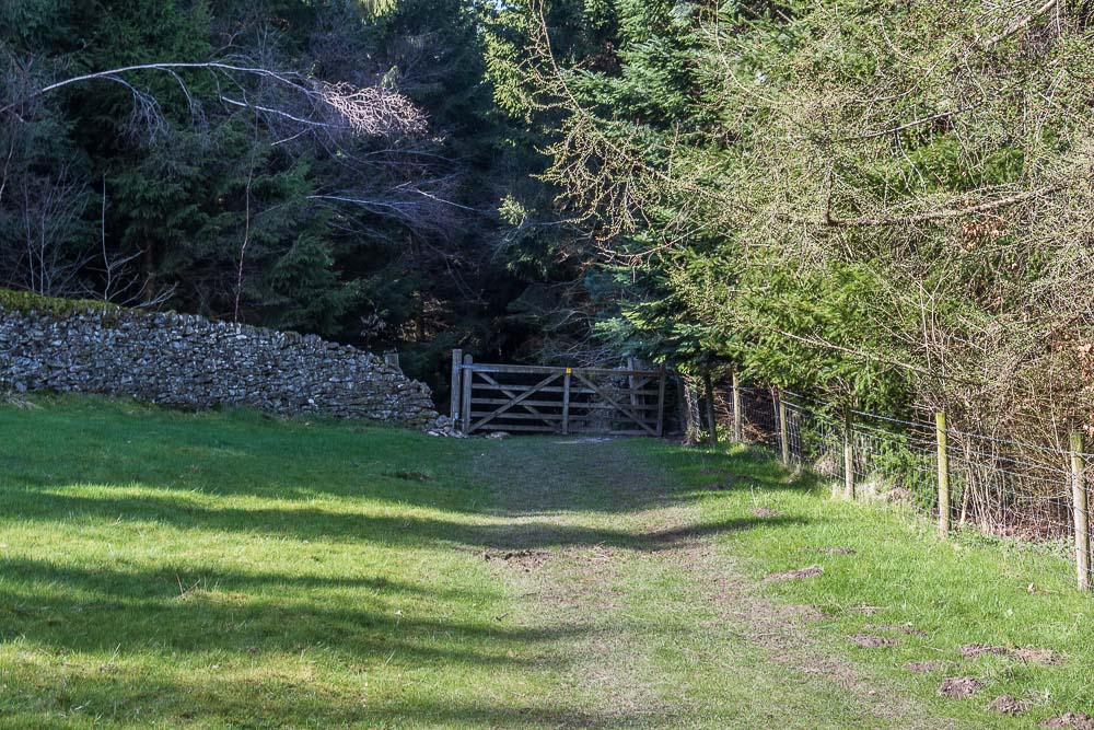 Highlow Wood
